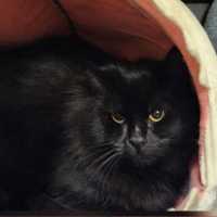 Photo of Lilo And Stitch 