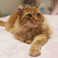 Photo of Buzz