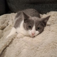 Photo of Gemma