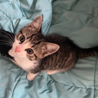 Photo of Mr Featherington  