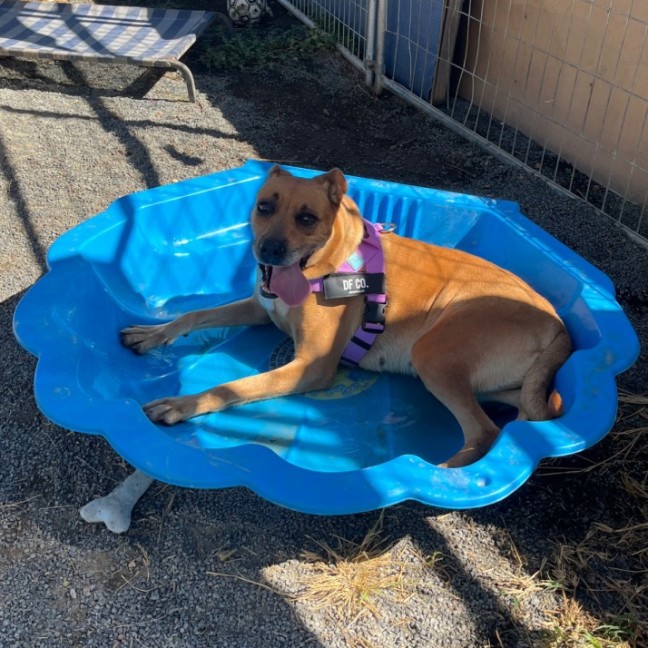 Photo of Ruby