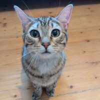 Photo of Sam Winchester