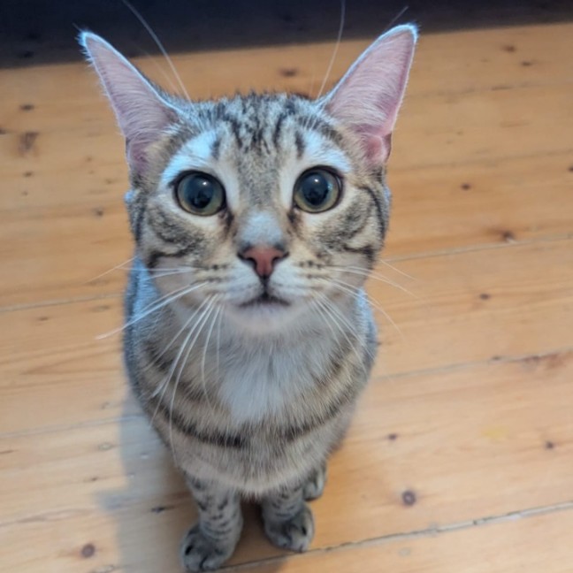 Photo of Sam Winchester