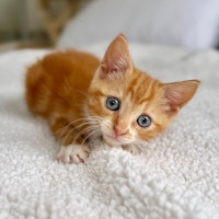 Photo of Rupert