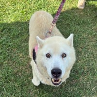 Photo of Saki 