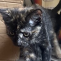 Photo of Fizz