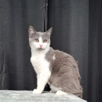 Photo of Alani