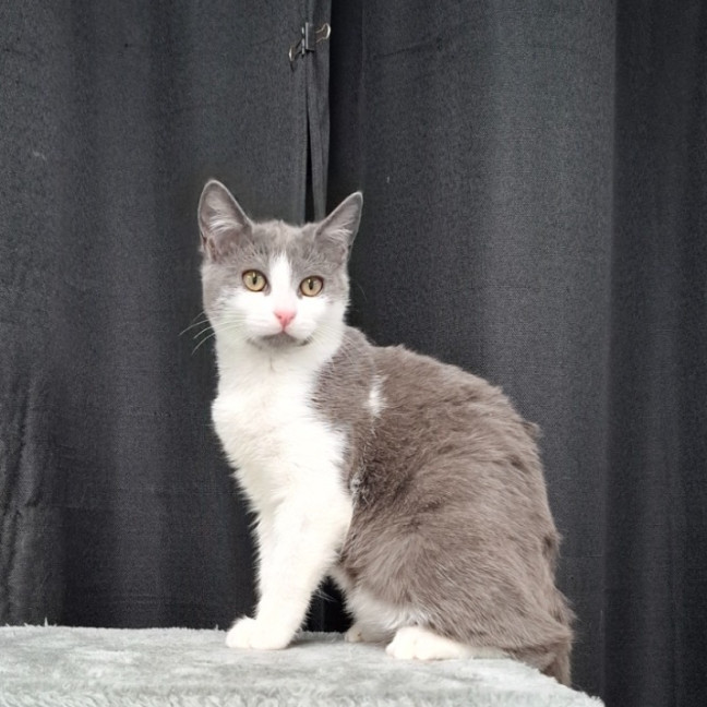 Photo of Alani