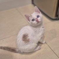 Photo of Yin And Yang