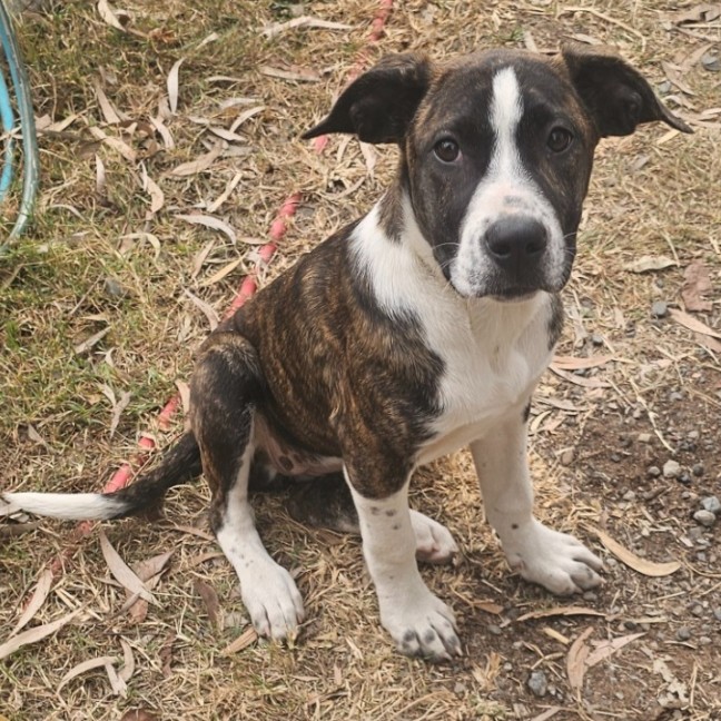 Photo of Molly