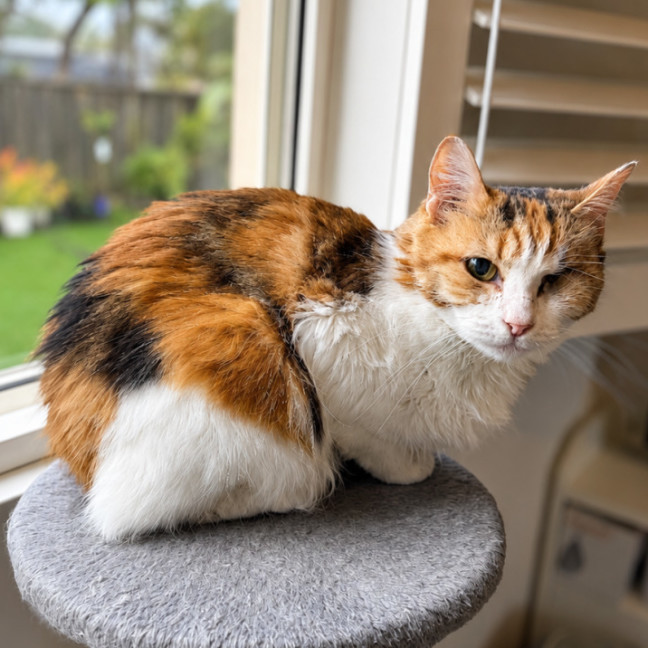 Photo of Mimi
