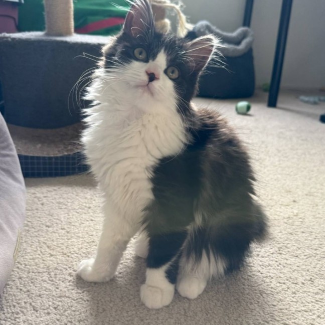 Photo of Milly 🌷🌷