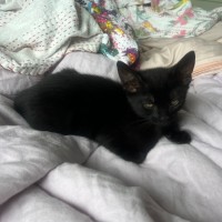 Photo of Athena