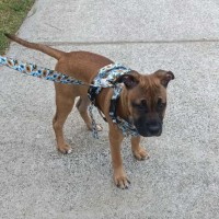 Photo of Athena