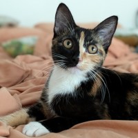 Photo of Lucy