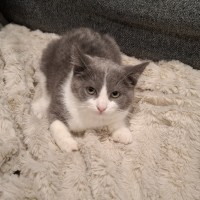 Photo of Gemma