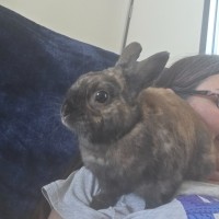 Photo of Irresistible Cuddles