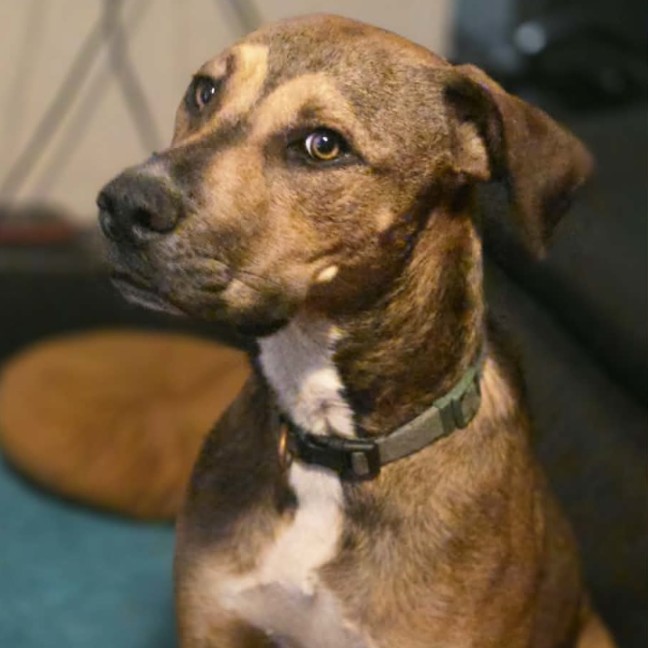 Photo of Barnie   Swarley 