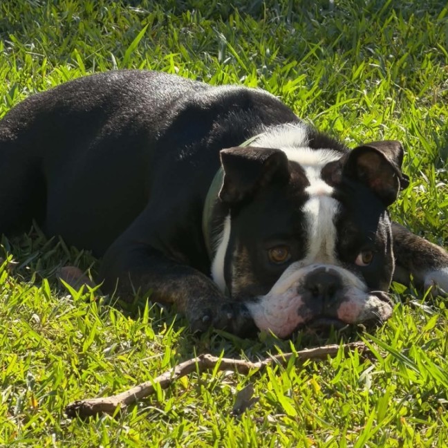 Photo of Max