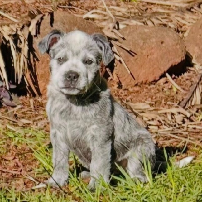 Photo of Luigi