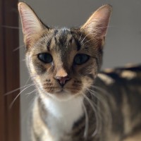 Photo of Clyde