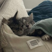 Photo of Phoenix 🥹🤗