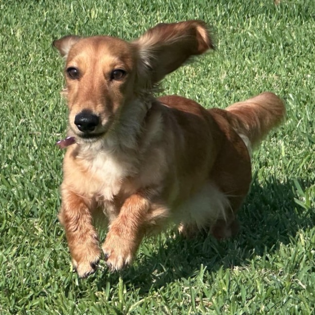 Photo of Sophie