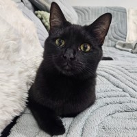 Photo of Bell