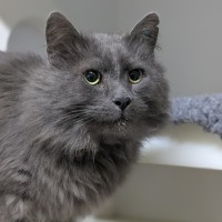 Photo of 🎩 Horatio 6189 🎩