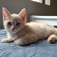 Photo of Aldi Special