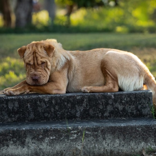 Photo of Wrinkles