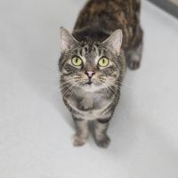 Photo of 🍧 Queenie 5290 🍧