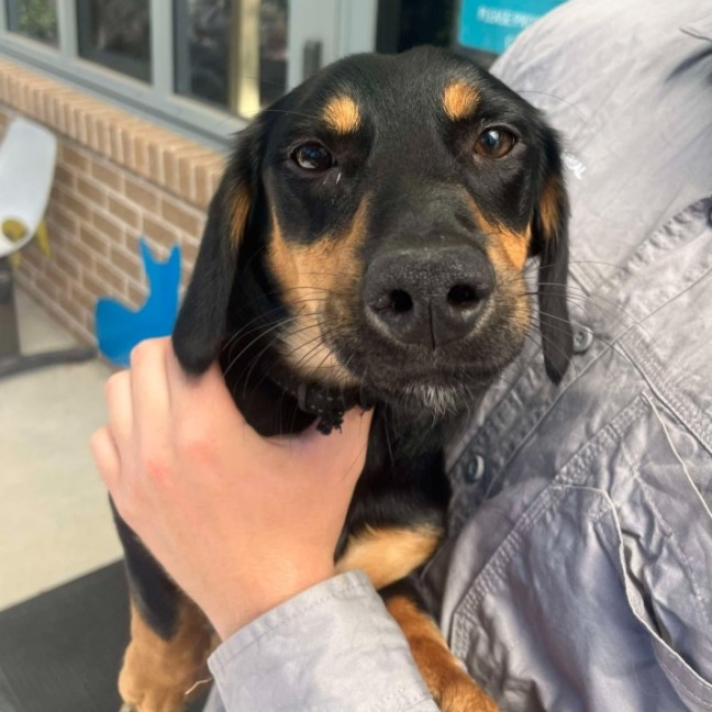 Photo of ✈ Jett 5687 ✈