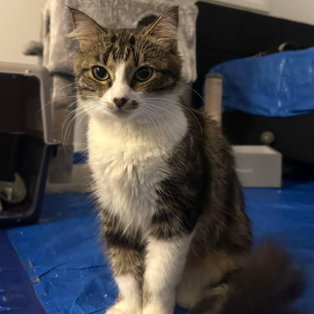 Photo of Mira 🌷🌺