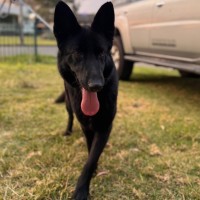 Photo of Luna