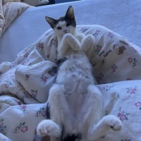 Photo of Evan & Evie