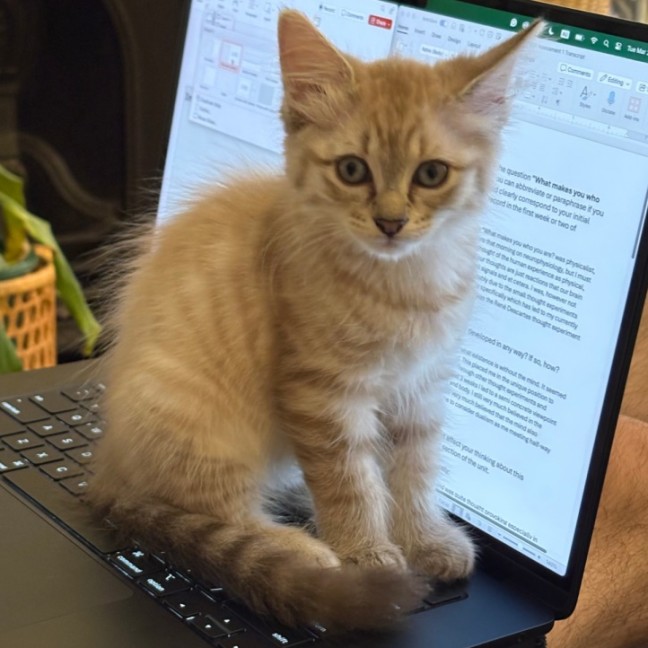 Photo of Peach