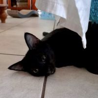 Photo of Gabi