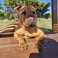 Photo of Wilma