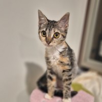 Photo of Kiki
