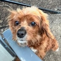 Photo of Meg