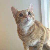 Photo of Archie