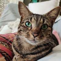 Photo of Cindy
