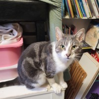 Photo of Flynn