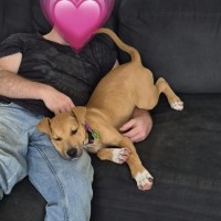 Photo of Matilda