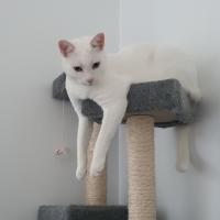 Photo of Kit
