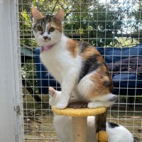 Photo of Aiko And Emiri 🌺💙