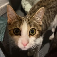 Photo of Sammie 