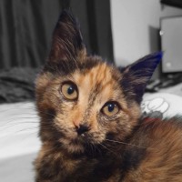 Photo of Blanch 🌸