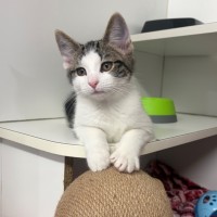 Photo of Larry